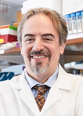 Ari Melnick, MD